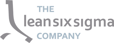 The-Lean-Six-Sigma-Company-logo